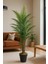 Yapay Ağaç Areka 160 cm 1