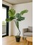 Yapay Ağaç Monstera 150 cm 1