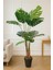 Yapay Ağaç Monstera 170 cm 1