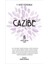 The Great Gatsby + Cazibe + Okuma Sticker'ları 3