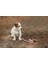 Köpek Dışkı Toplama Poşeti Taşıma Çantası, Pudra Pembe, 8X5X5CM Sptgl 3