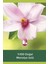 Aroma Sensations Feel The Glow Duş Jeli 500 ml x 3 Adet 2