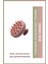 Tresan Isırgan Otu Bakım Şampuanı Normal ve Kuru Saçlar Için 300 ml x 2 Adet - Pycos Duş Tarağı Hediyeli 2