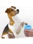 Silikon Jel Fırçalı Kedi Köpek Pati Ayak Temizleme Kovası Büyük 5