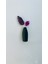 Miniflora - 5'li Magnetli Mini Vazo 4