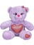 Bfs 1512 Renkli Peluş Ayı 26 cm -Sunman 3