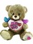 Bfs PJH2322 Peluş Kalpli Ayı 30 cm 4
