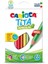 Carioca Tita Maxi Üçgen Kuru Boya Kalemi 12'li 1