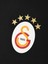 Galatasaray 5 Yıldız Çocuk T-Shirt C251402 3