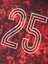 Galatasaray 2025 Şampiyonluk Design Fc Çocuk T-Shirt C251406 3