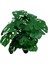 Yapay Dekoratif , Salon Bitkisi , Monstera Ağacı 90 cm 2