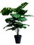 Yapay Dekoratif , Salon Bitkisi , Monstera Ağacı 90 cm 3