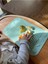 Finger Placemat- Silikon Bebek Matı - Pembe 2