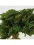 Seramik Saksıda Bonsai Ağacı | 100% Doğal, Bakım Gerektirmeyen Juniper Bitkisi | 25 cm Doğal Masa Üstü Dekor 8