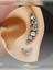 Cerrahi Çelik Sıralı Kristal Damla Çelik Helix Conch Kıkırdak Piercing 1