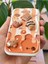 Apple iPhone 7/8/SE20/SE22 Kılıf Tasarımlı Desenli Kamera Korumalı Ayıcık Bisküvi Renkli Cofffe Silikon 6