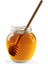 Lavanta Balı 480gr 1
