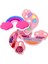 Bfs Pretty Pinky Gökkuşağı Güzellik Seti 1