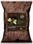 Cocopeat Hindistan Cevizi Torfu - %100 Doğal, Böcek Yapmayan, Orkide Toprağı 5l 1