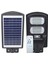 Solar Ledli Kumandalı 100 Watt Sokak Lambası (Ayağı Unutma) (4887) 1