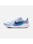 Air Zoom Pegasus 41 Erkek Koşu Ayakkabısı 2