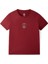 Galatasaray 5 Yıldız Çocuk T-Shirt C251393 8