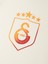 Galatasaray Kalkan Degrade 5 Yıldız Çocuk T-Shirt C251396 7