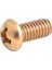 Mini Kumaş Kesim Motoru Bıçak Vidası / PLS-65-G43 1