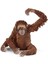 Elite Schleich 14775 – Orang-Utan Şekli Figür 1 Adet 5