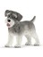 Elite Schleich Farm World Minyatür Schnauzer 1 Adet 1