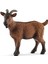 Elite Schleich 13828 Ffa Ffa Cabra/goat, Renkli 1 Adet 1
