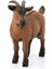 Elite Schleich 13828 Ffa Ffa Cabra/goat, Renkli 1 Adet 2