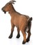 Elite Schleich 13828 Ffa Ffa Cabra/goat, Renkli 1 Adet 3