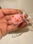 Elite Anahtarlık Çanta Süsü Squishy Yumuşak Hayvan Figürlü Sukuşi 1 Adet 1