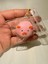 Elite Anahtarlık Çanta Süsü Squishy Yumuşak Hayvan Figürlü Sukuşi 1 Adet 3