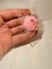 Elite Anahtarlık Çanta Süsü Squishy Yumuşak Hayvan Figürlü Sukuşi 1 Adet 4