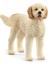 Elite Schleich Goldendoodle 1 Adet 1