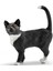Elite Ayakta Kedi - 13770 1 Adet 1