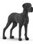 Elite Danua 13962 1 Adet 1