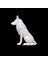 Elite Swiss Shepherd 1 Adet 2