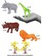Elite 690 Toy Play 6 Parça Renkli Safari Hayvanları Figür Seti 13-16 cm 1 Adet 2