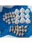 Elite Deniz Kabukları Silis Kabuk Çeşitleri 07MM-2,5CM Dekor Deniz Kabuğu 500GR + 500GR Teraryum Mavi Kum 1 Adet 1