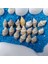 Elite Deniz Kabukları Silis Kabuk Çeşitleri 07MM-2,5CM Dekor Deniz Kabuğu 500GR + 500GR Teraryum Mavi Kum 1 Adet 3