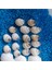 Elite Deniz Kabukları Silis Kabuk Çeşitleri 07MM-2,5CM Dekor Deniz Kabuğu 500GR + 500GR Teraryum Mavi Kum 1 Adet 4