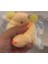Elite Civciv Squishy Yeni Nesil Oyuncak Jel Sukuşi Yumuşak Soft Animals 1 Adet 2