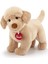 Elite Acelya Peluş Labrador Liam Star Shop Trend 1058548 1 Adet 1