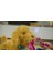 Elite My Fuzzy Friends Moji Interactive Labradoodle Interaktif Büyük Sevimli Köpek 1 Adet 2