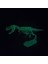 Elite Fosforlu Parıldayan Glow T-Rex 3 Boyutlu Dinozor Iskelet Maket Model Oyuncak 1 Adet 3