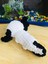 Elite Sevimli Beyaz Axolotl Amigurumi Oyuncak Handmade (18CM) 1 Adet 3