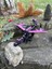 Elite Minecraft Ender Dragon Hareketli Aksiyon Figür Ejderha 20 cm 1 Adet 1
